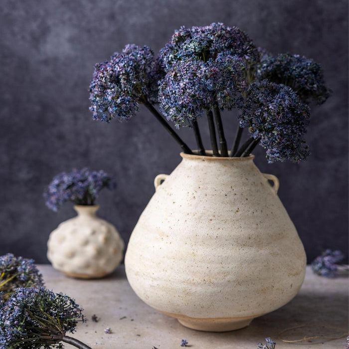 Beige ceramic vase with purple flowers against a dark background