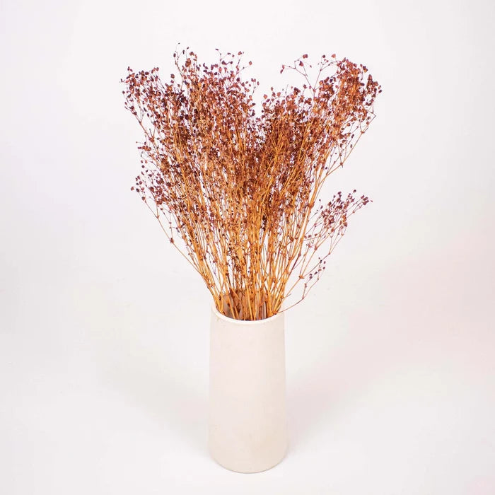 Brown Dried Babys Breath Flower Bunch in Vase