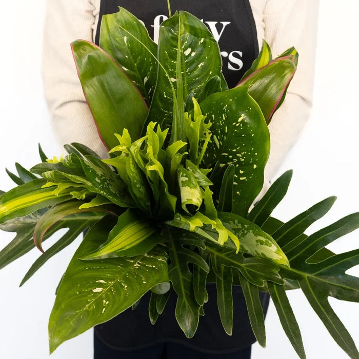 Exotic Jungle Colorful Greenery Kit Hand - Image