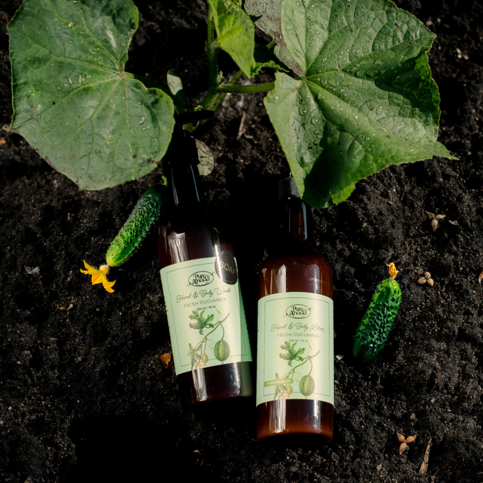 Hand & Body Wash - Fresh Cucumber