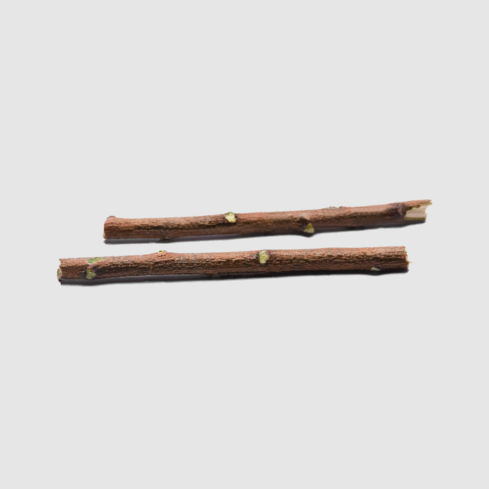 Neem Twigs
