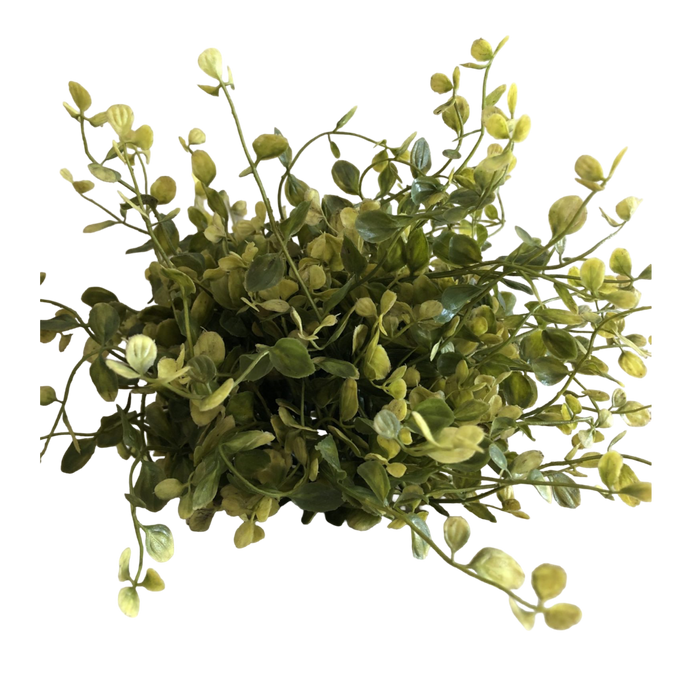 Artificial green foliage on a white background