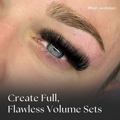 12D Promade Volume Set by @lash_evolution