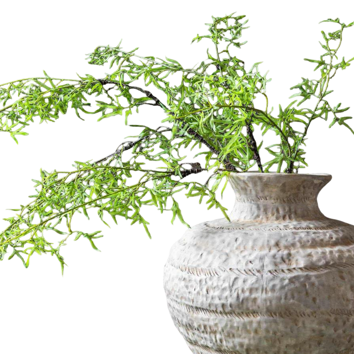 Decorative plant in a textured vase on a white background