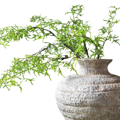 Decorative plant in a textured vase on a white background