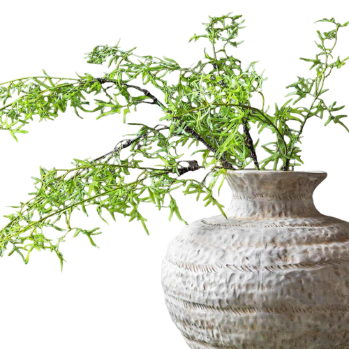 Decorative plant in a textured vase on a white background