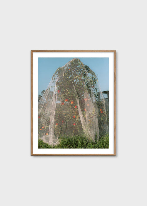 Apple Tree by Lee Burnett