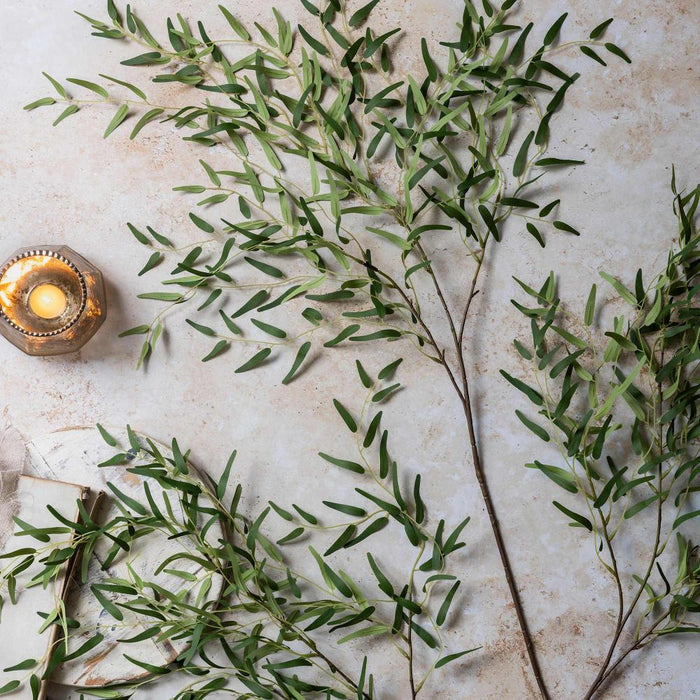 Green leaves on a textured surface with a small candle