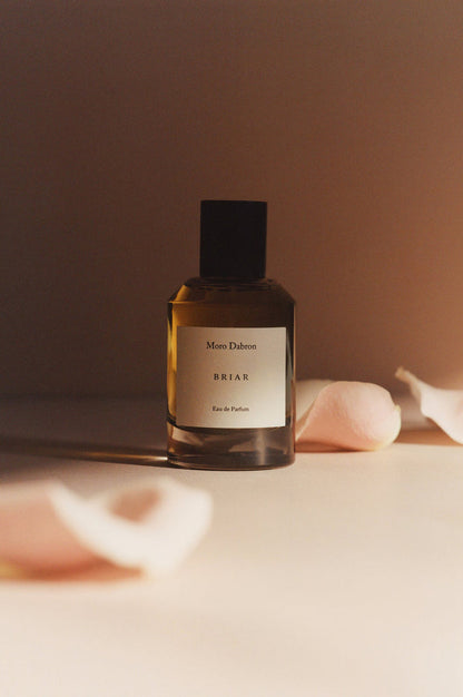 Briar EDP 50ml