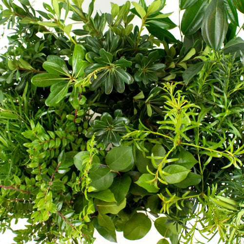 Choose Your Own Greenery DIY Flower Kit Up Close