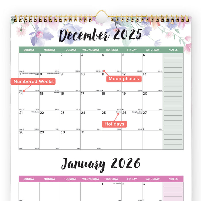 Blueline Colorful Three-Month Wall Calendar, 14 Months, Passion, 2026 C171129-26