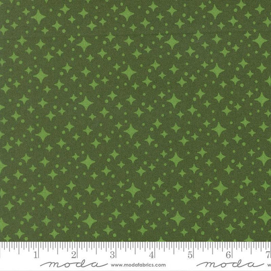 Cypress- Scenery Starlight- Fat Quarter