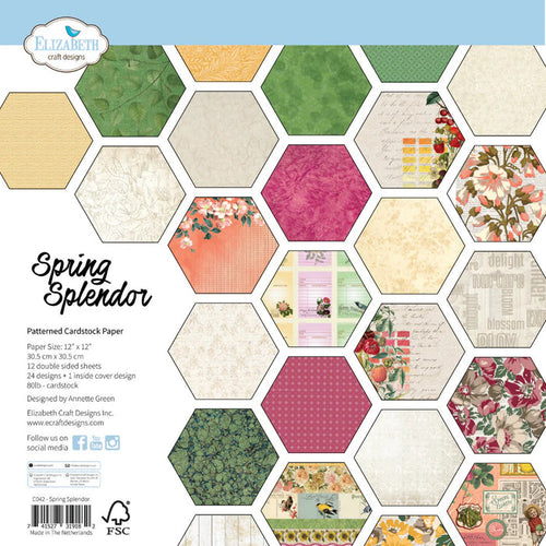Elizabeth Crafts - 12X12 Printed Cardstock Pack - Spring Splendor. Available at Embellish Away located in Bowmanville Ontario Canada.