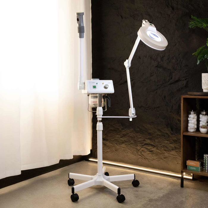 Euro Facial Steamer With Aroma Therapy + LED Magnifying Lamp