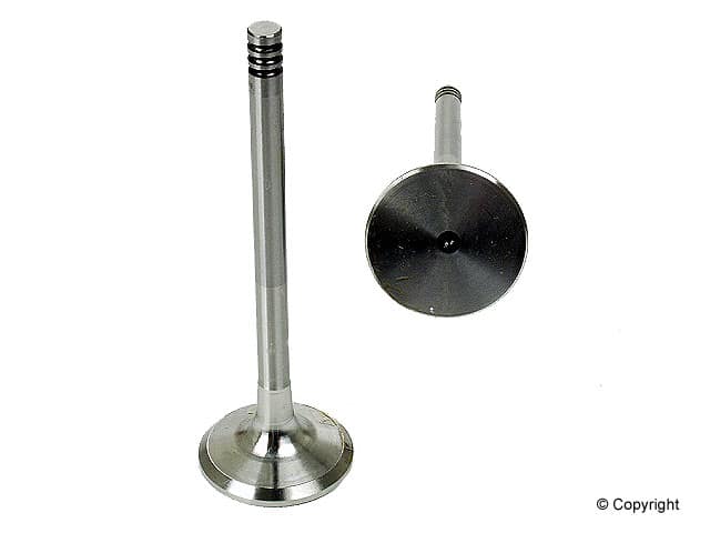 Exhaust Valve