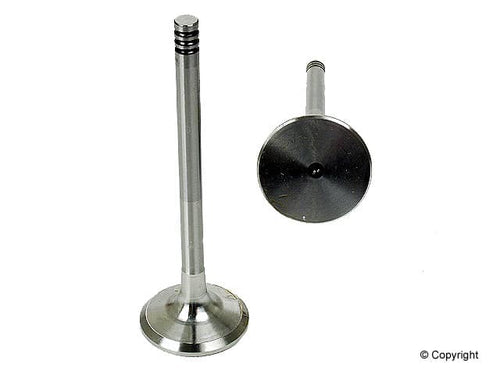 Exhaust Valve