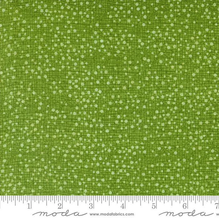 F2348 - Dotty Thatched Grass