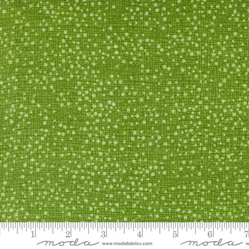 F2348 - Dotty Thatched Grass