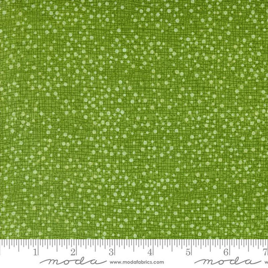 F2348 - Dotty Thatched Grass