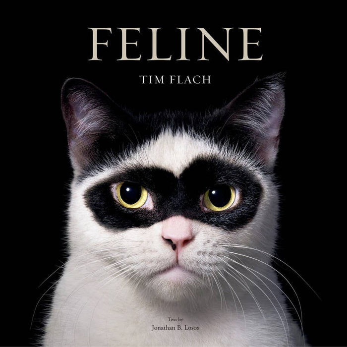 Book cover of 'Feline' by Tim Flach featuring a black and white cat with a serious expression on a black background.