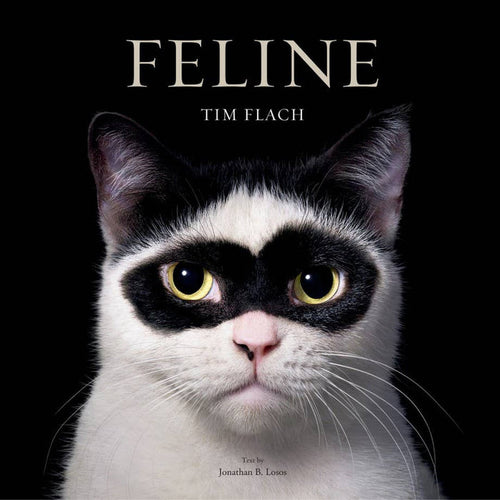Book cover of 'Feline' by Tim Flach featuring a black and white cat with a serious expression on a black background.