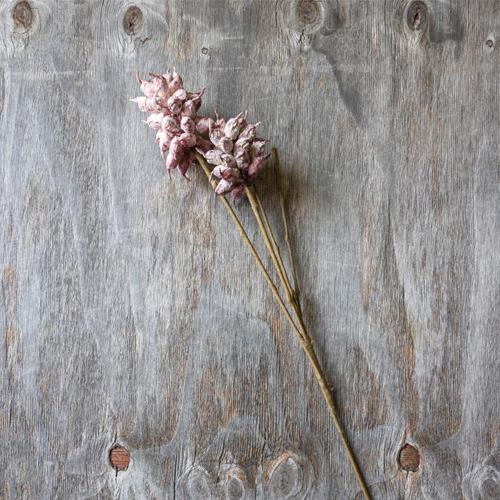 Dried pink flowers on a wooden surface