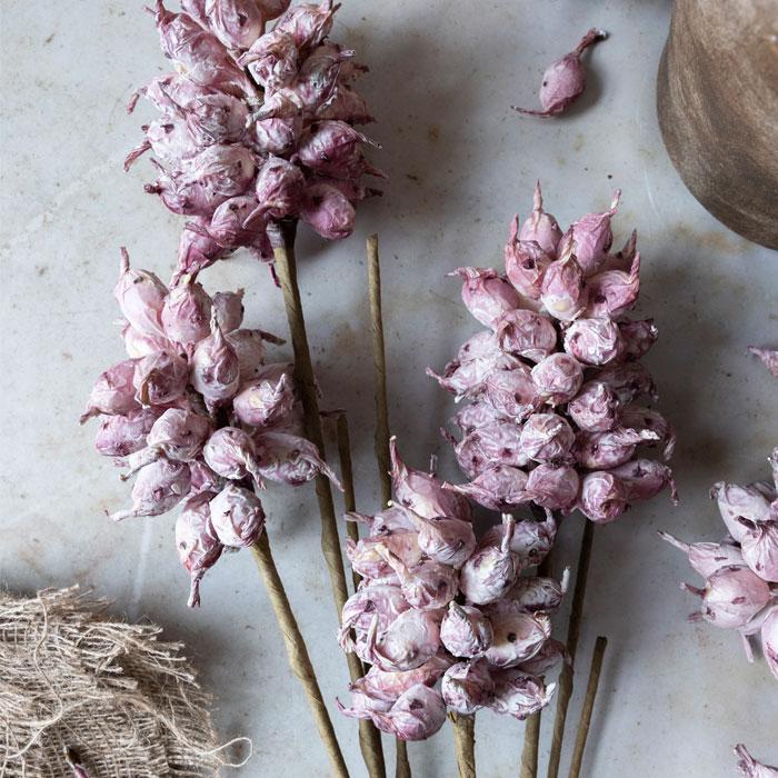 Dried pink flowers on sticks with a rustic background