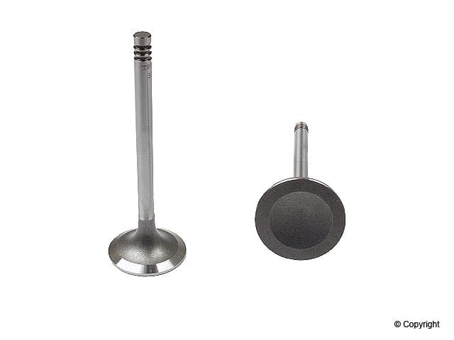 Intake Valve for 72-75 VW Bus and 80-83 Air Cooled Vanagon