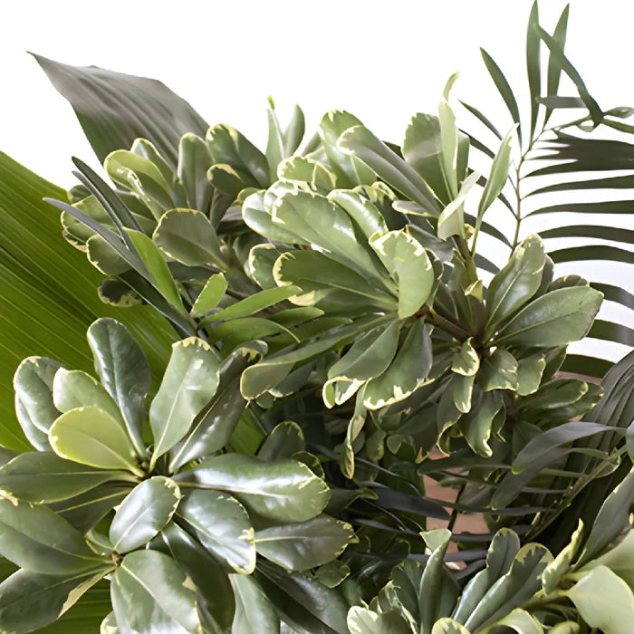 Lake greenery mix up close