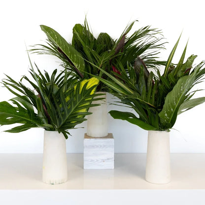 Lush Green Amazon Greenery Centerpiece Close Up - Image