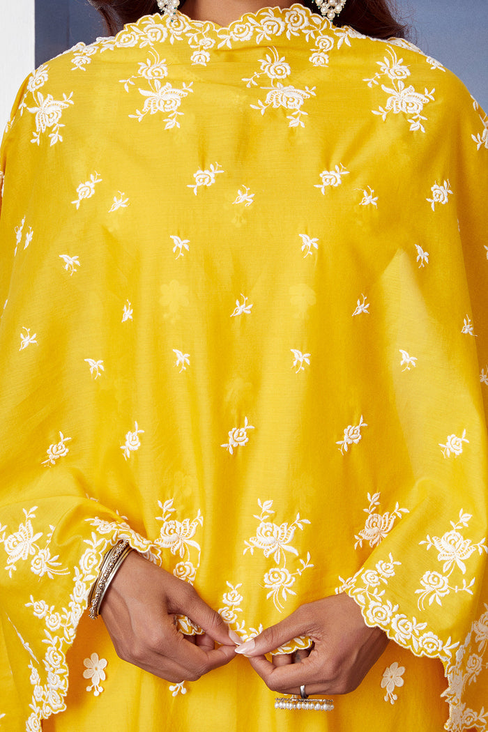 Mulmul Supima Cotton Paradise Mango Kurta