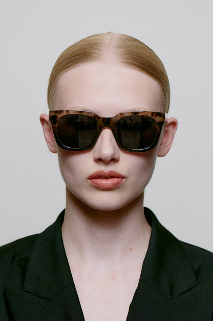 Nancy Sunglasses Coquina/ Gray Transparent