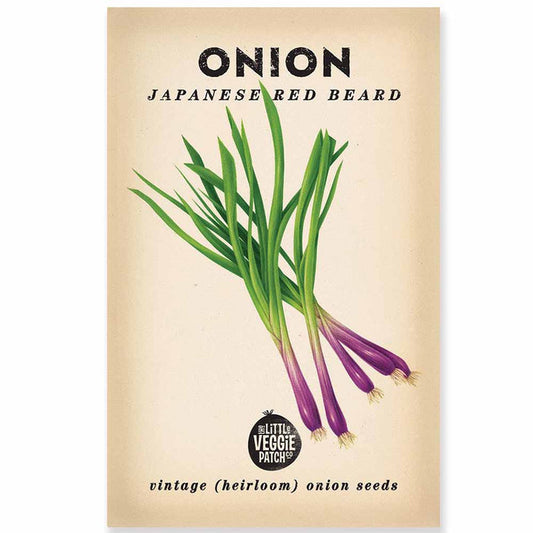 Onion “Japanese Red Beard” Heirloom Seeds