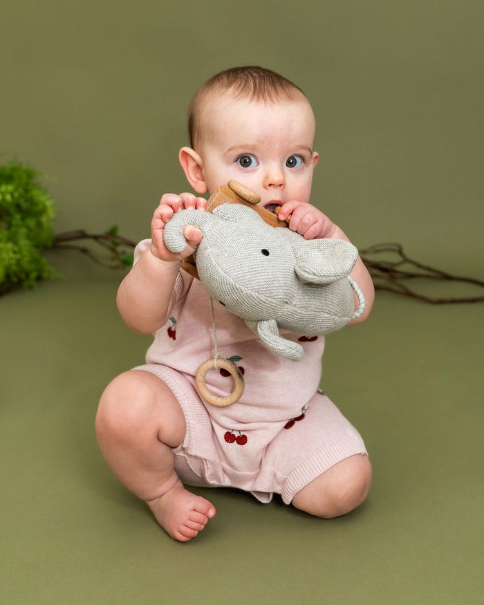 Organic Knit Stuffed Elephant Baby Pull Cart Toy - Lifestyle Playtime