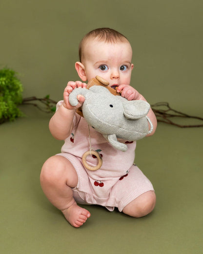 Organic Knit Stuffed Elephant Baby Pull Cart Toy - Lifestyle Playtime