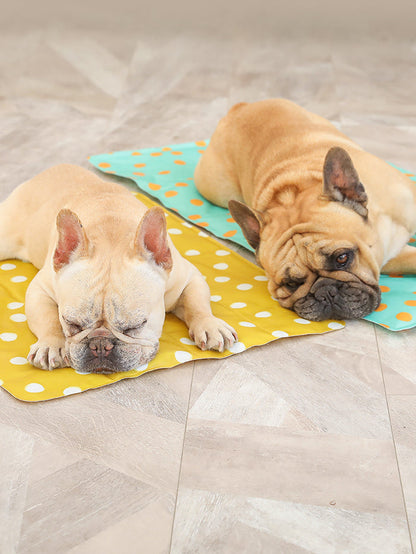 Pet gel ice pad