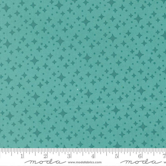 Poolside- Scenery Starlight- Fat Quarter