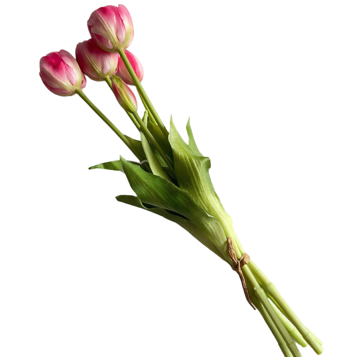 Bouquet of pink tulips on a white background