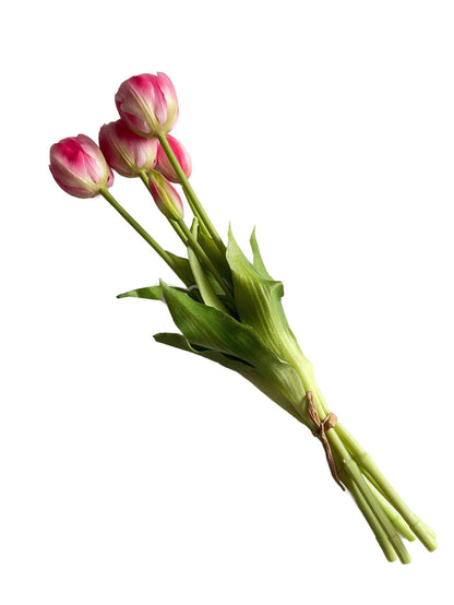 Bouquet of pink tulips on a white background