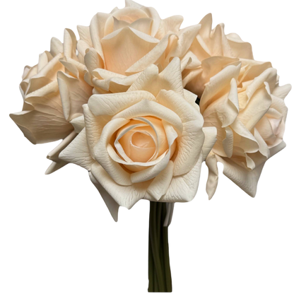 Bouquet of white roses on a white background