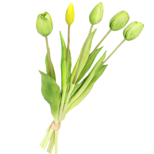 Bouquet of green tulips on a white background
