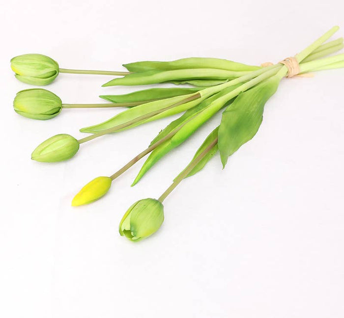 Bouquet of green tulips on a white background