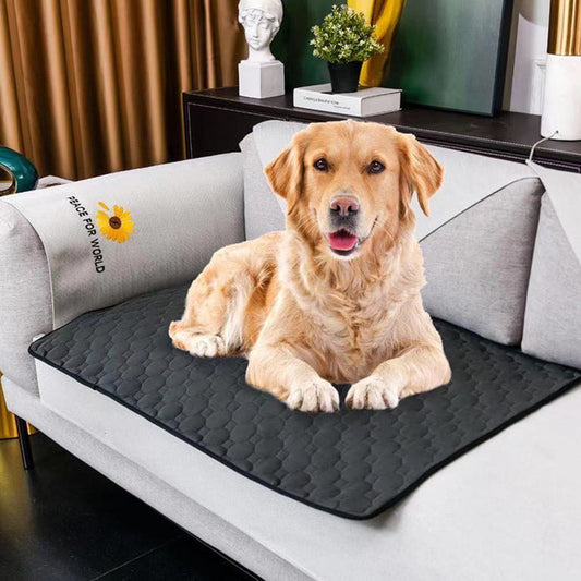 Reusable Puppy Pee Pad