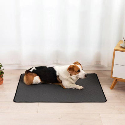 Reusable Puppy Pee Pad