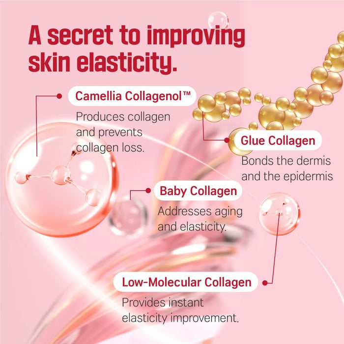 Round Lab Camellia Deep Collagen Firming Ampoule 30ml أمبولات راوند لاب كاميليا ديب كولاجين لشد البشرة - Princess Cosmetics Qatar