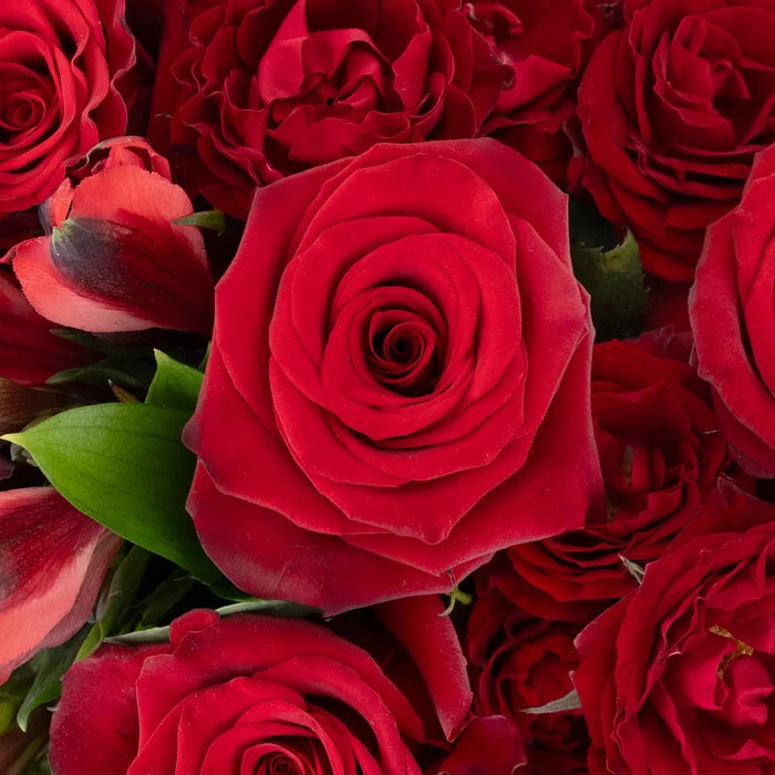 Ruby Red Flower Bouquet Stem - Image