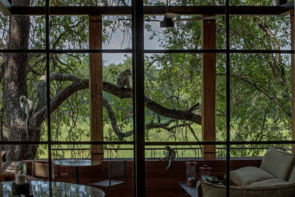 Monkeys in a tree viewed through large windows from inside a building.