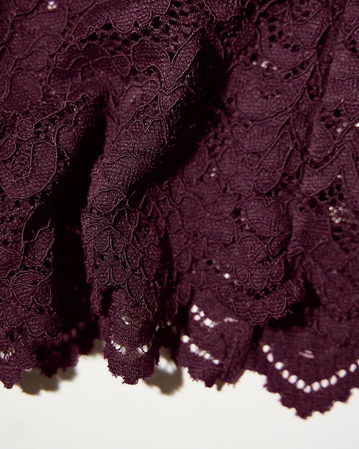 Close up of Seamed Lushy Midi Dress - Lace Garnet