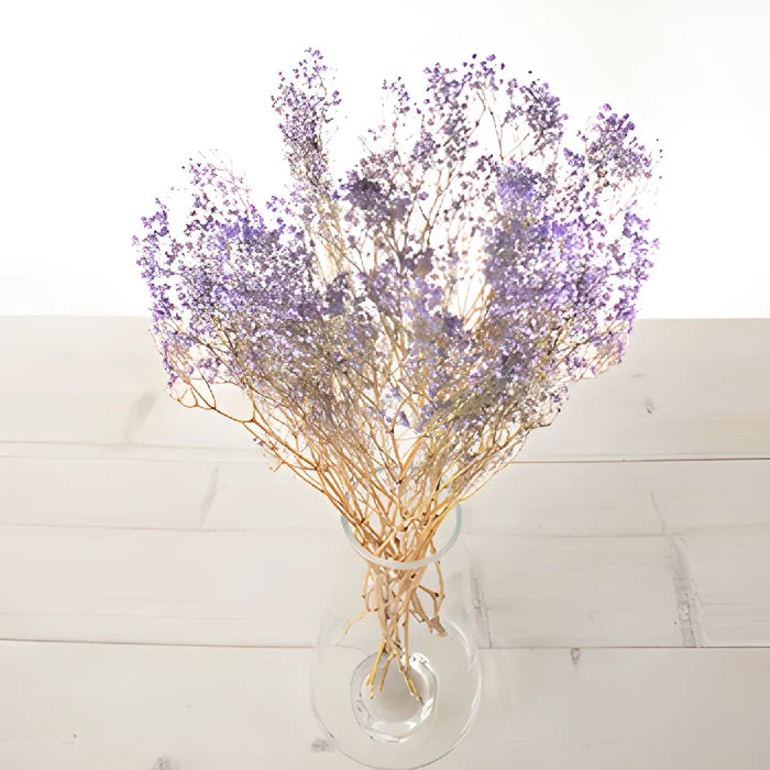 Soft Purple Dried Baby's Breath Flower