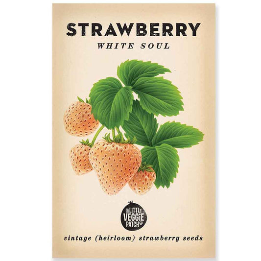 Strawberry Heirloom Seeds